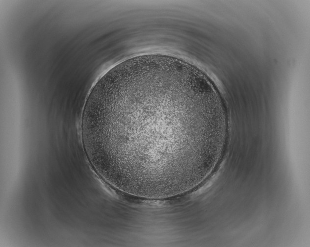 X0000112161529200908071128