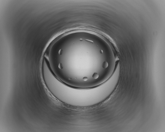 X0000112161530200908071128
