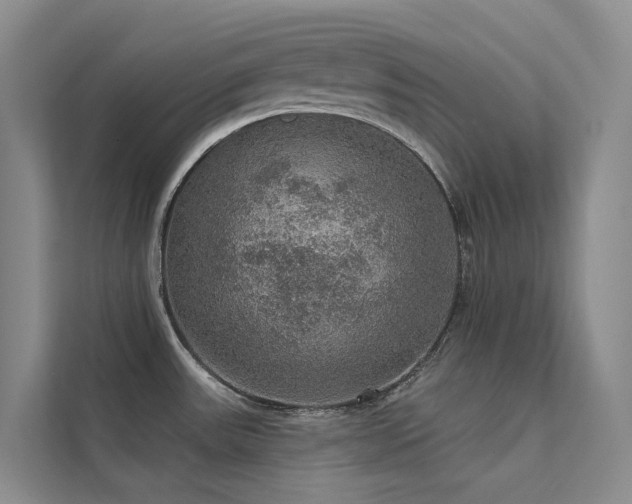 X0000112161531200908071128