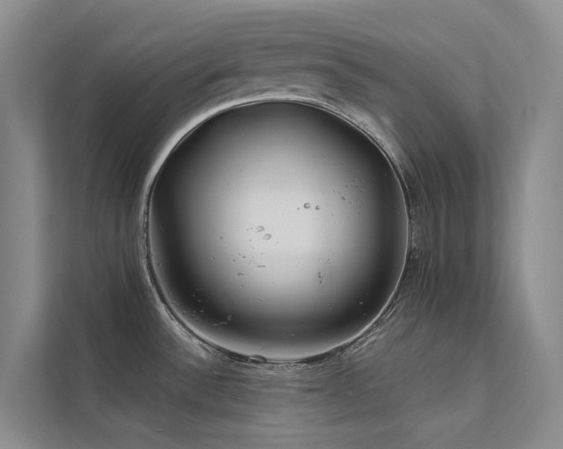 X0000112161532200908071128