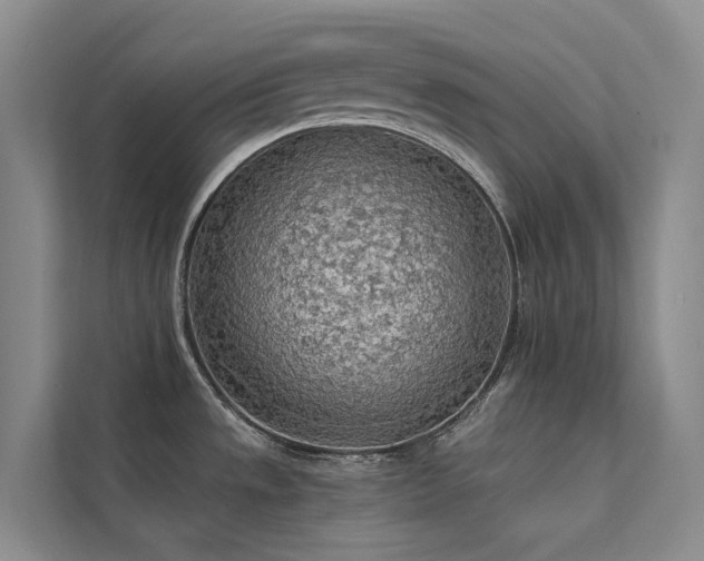 X0000112161533200908071128