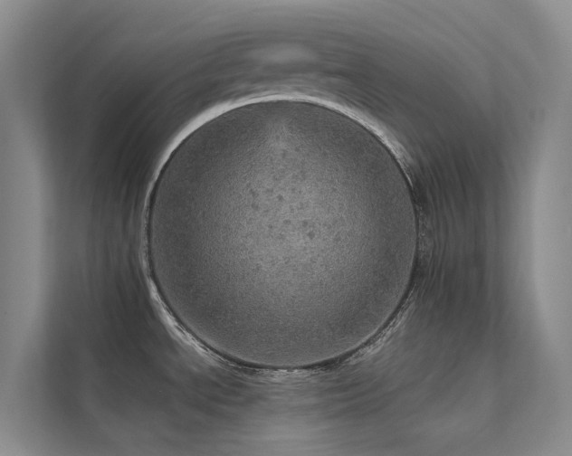 X0000112161534200908071128