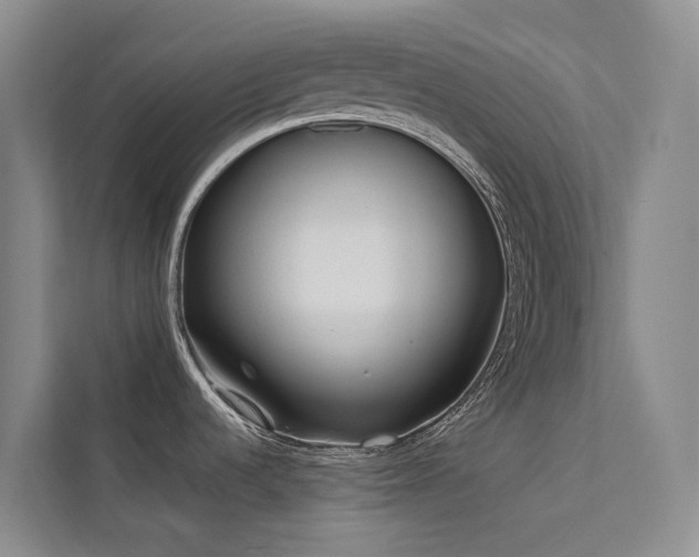 X0000112161536200908071128