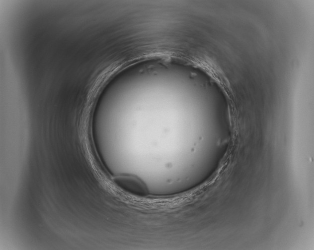 X0000112160001200908141244