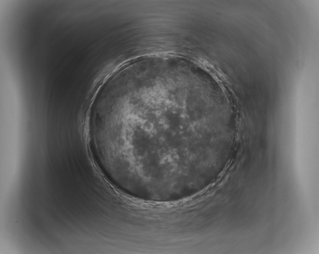 X0000112160002200908141244