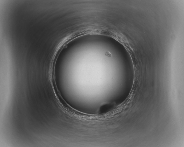 X0000112160003200908141244