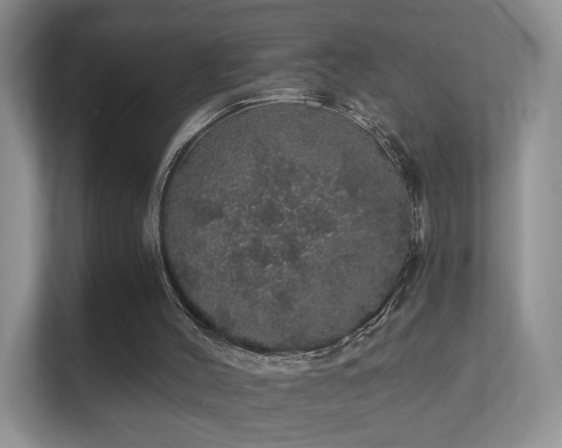 X0000112160004200908141244