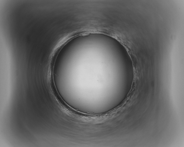X0000112160005200908141244