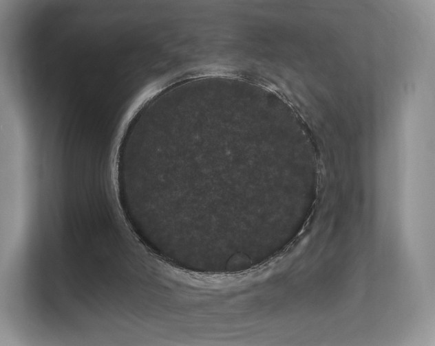 X0000112160006200908141244