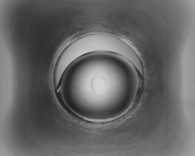 X0000112160007200908141244