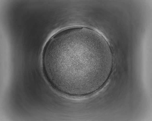 X0000112160008200908141244