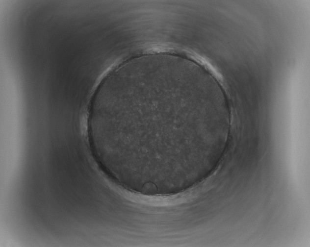 X0000112160010200908141243