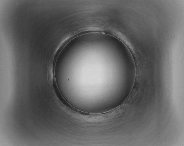 X0000112160011200908141243