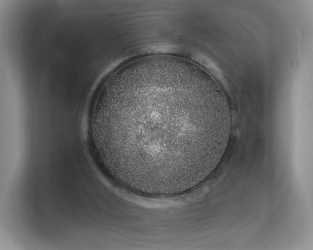 X0000112160012200908141243