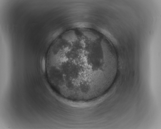 X0000112160014200908141243