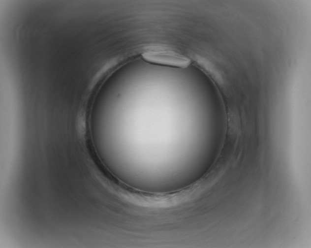X0000112160015200908141243