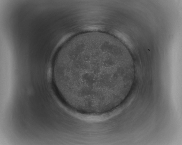 X0000112160016200908141243