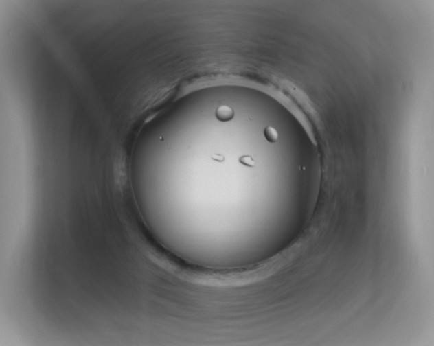 X0000112160017200908141243