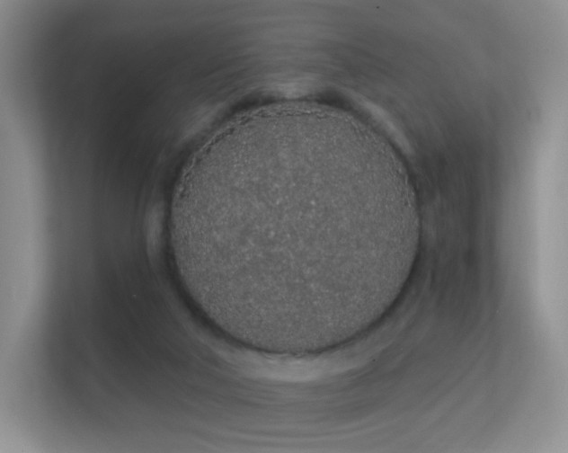 X0000112160018200908141243