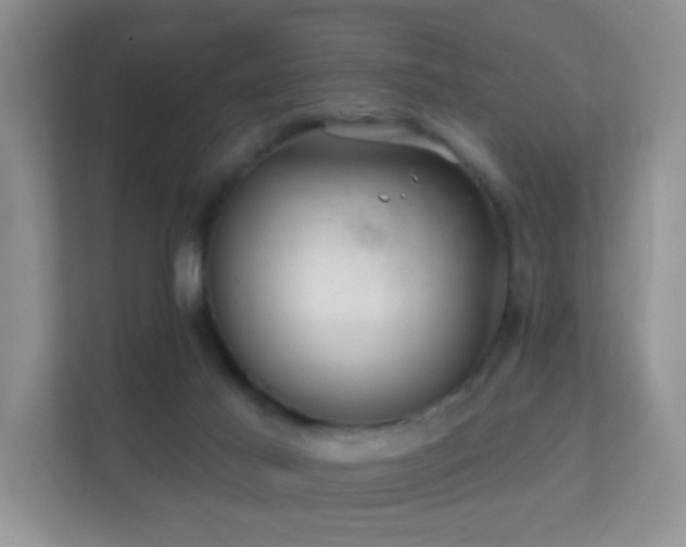 X0000112160021200908141243