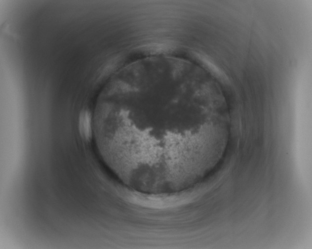 X0000112160022200908141243