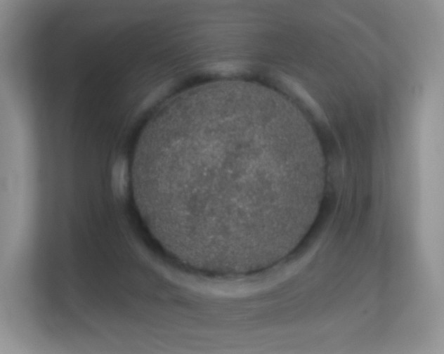 X0000112160024200908141243