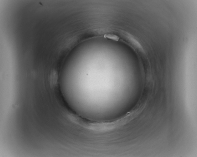 X0000112160025200908141243