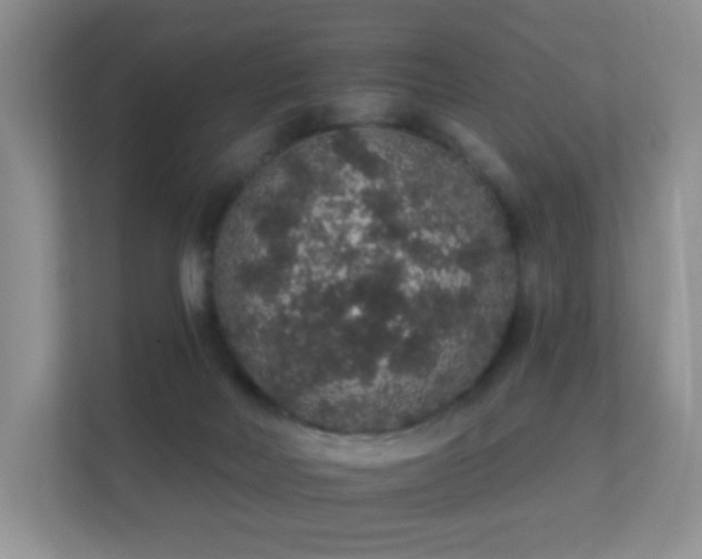 X0000112160026200908141243