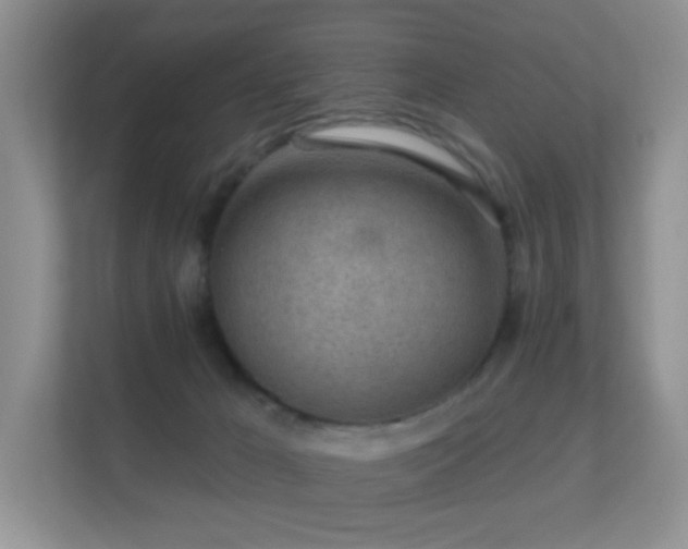 X0000112160029200908141243