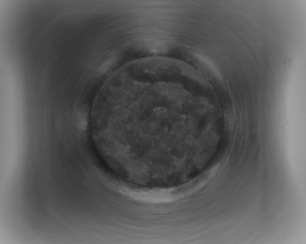 X0000112160032200908141243