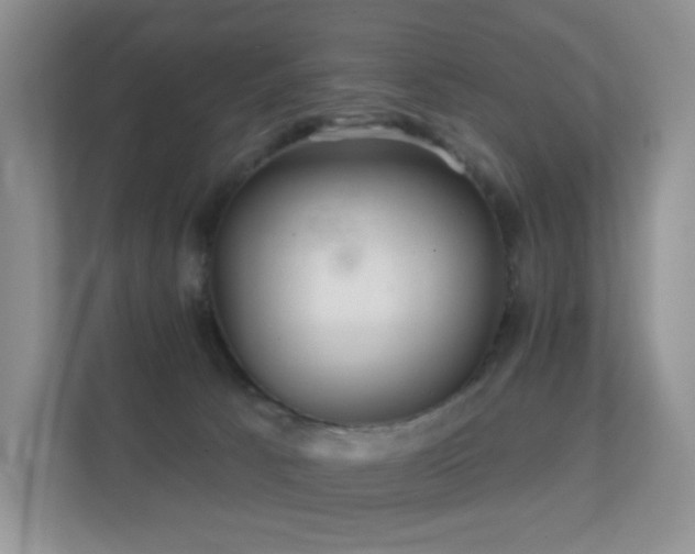 X0000112160033200908141243