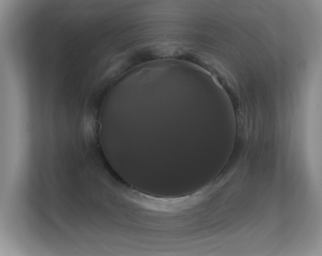 X0000112160035200908141243