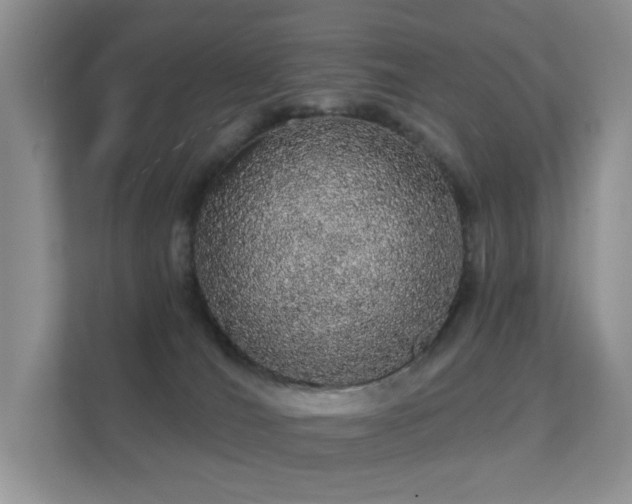 X0000112160036200908141243