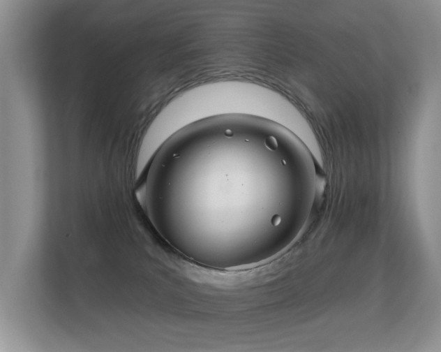 X0000112160039200908141243