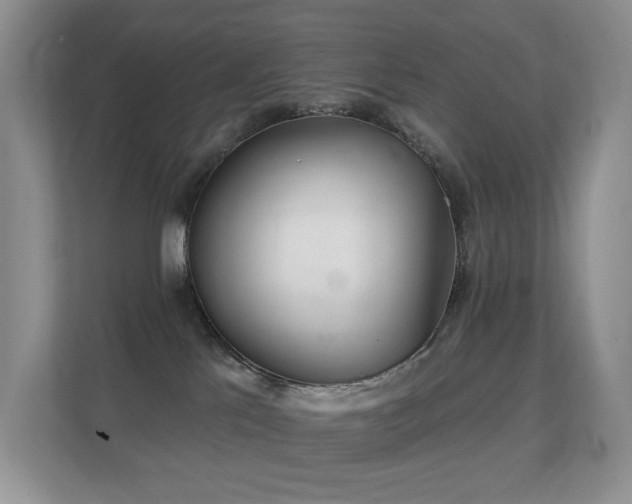 X0000112160041200908141243