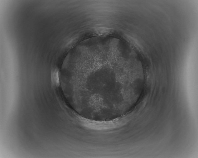 X0000112160042200908141243