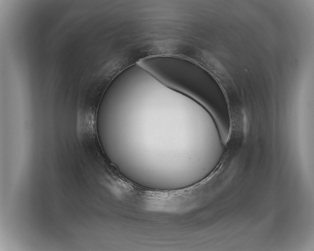 X0000112160045200908141243