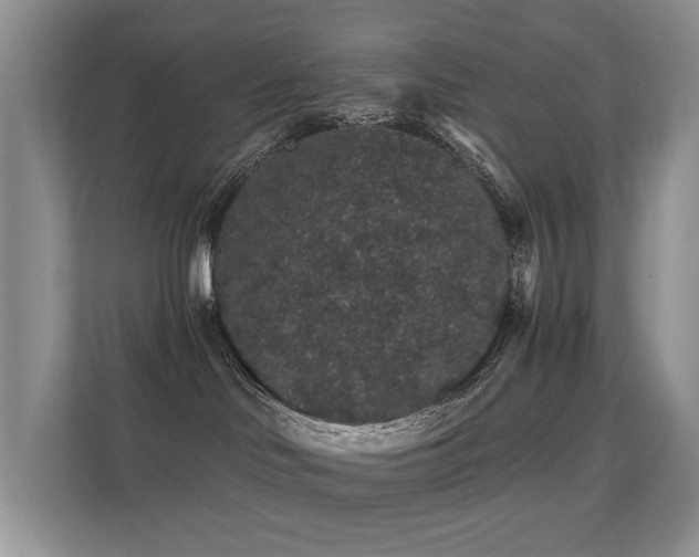 X0000112160046200908141243