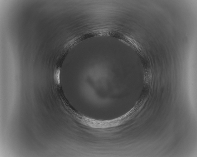 X0000112160047200908141243