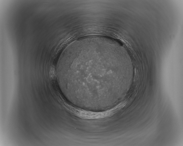 X0000112160048200908141243