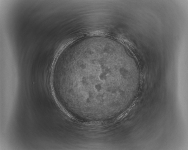 X0000112160049200908141242