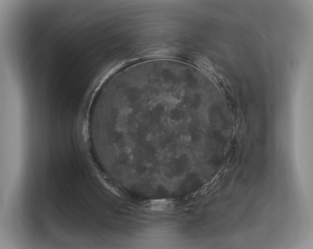 X0000112160050200908141242