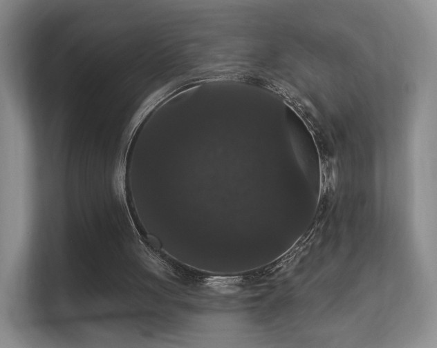 X0000112160051200908141242