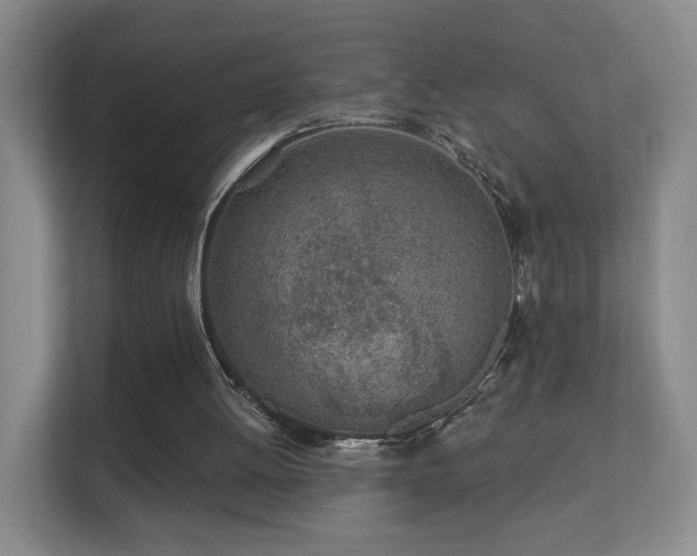 X0000112160052200908141242