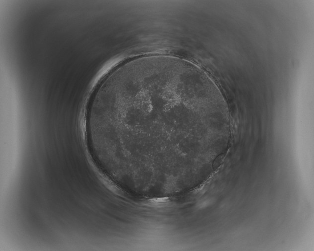 X0000112160054200908141242