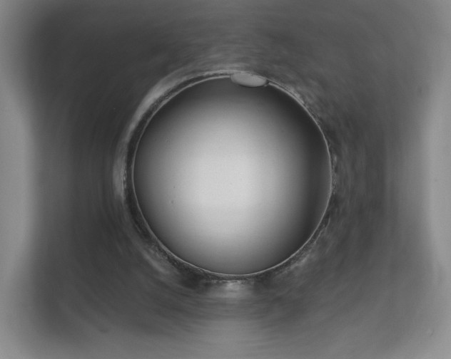 X0000112160056200908141242