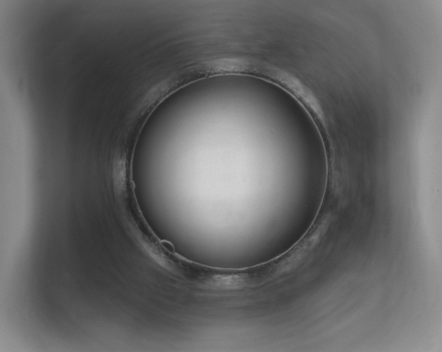 X0000112160057200908141242