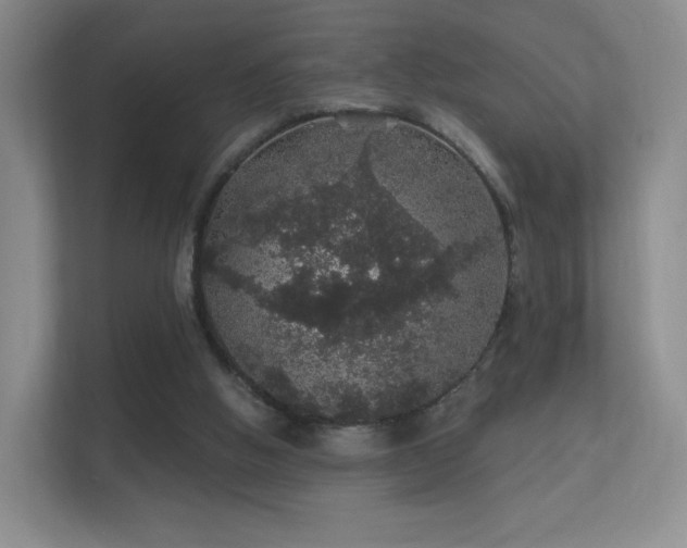 X0000112160058200908141242