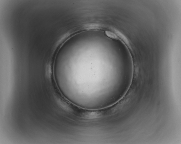 X0000112160059200908141242