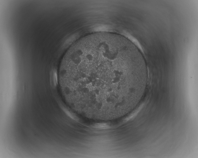 X0000112160061200908141243